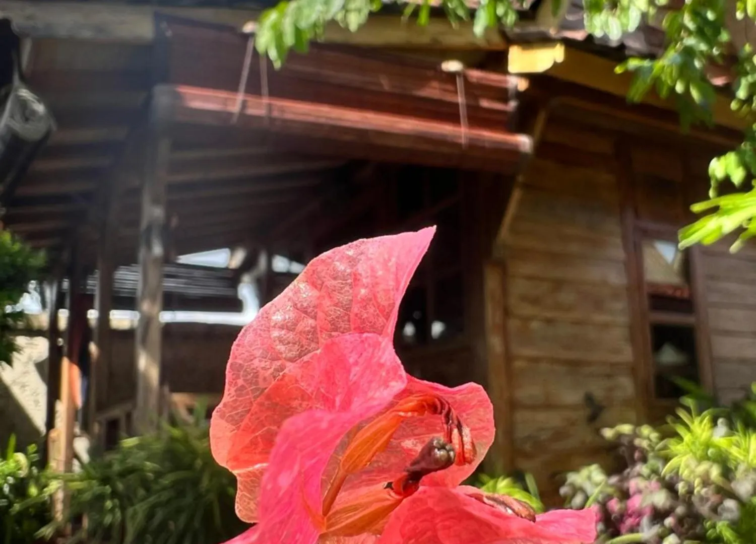 Pinokkio B&B Restaurant Ungasan Couette-café