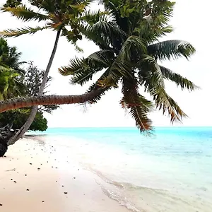 https://bnb-chez-vaiana.frenchpolynesia-hotels.com