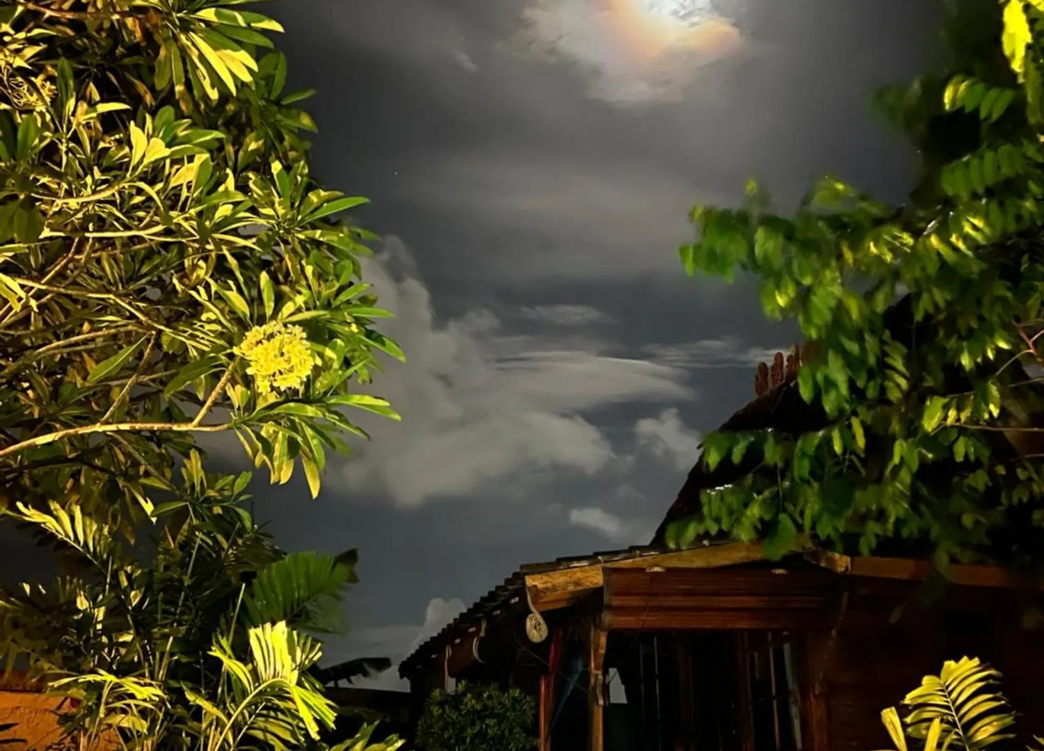Pinokkio B&B Restaurant Ungasan 0*,  Indonesia